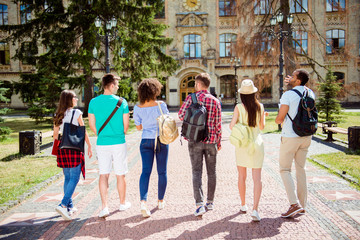 Rear view of six students, bachelor`s campus life rhythm. They are walking after to college...