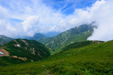 Fototapeta na wymiar 北アルプス　唐松岳～五竜岳稜線の眺め