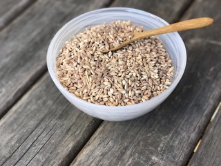 Farro