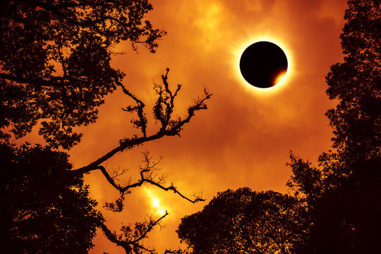 Scientific natural phenomenon. Total solar eclipse with diamond ring glowing on sky.