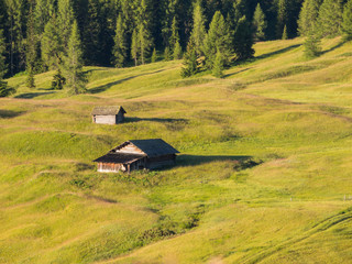 Meadows at high altitudes forming gentle hills. Dolomites, Alta Badia, Sud Tirol, Italy