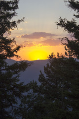sunset