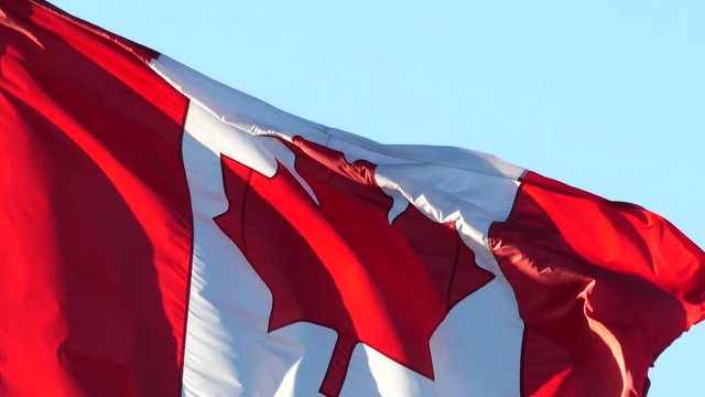 Slow motion of Canadian flag flying on flagpole in a blue sky for celebrating Canada 150 years