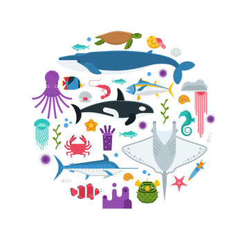 Underwater animals and sea creatures background stylized in circle. Ocean and marine fishes and other aquatic life collection. Concept card or hero image with ocean inhabitants vector illustration.