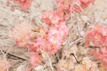 Floral background. Lot of artificial flowers in colorful composition