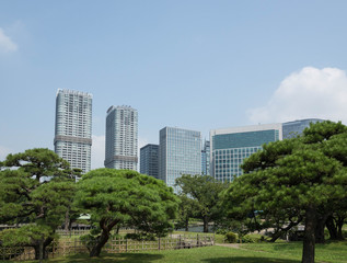 東京　浜離宮　日本庭園と高層ビル