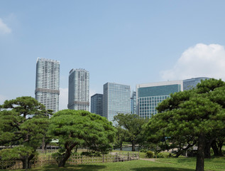 東京　浜離宮　日本庭園と高層ビル