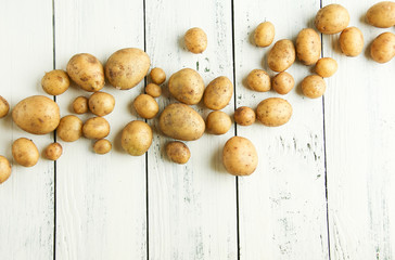 frische junge kleine und große Kartoffeln ernte Welle Wellen Hintergrund Textfreiraum Band Banner