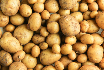 frische Kartoffeln Hintergrund Tisch overhead neue Ernte 