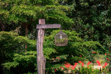 Beautiful old lamp, birdcage lamp