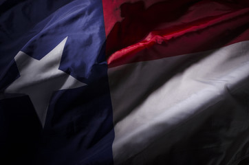 The Texas state flag waving in shadow