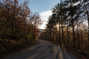 A mountain road in autumn, with trees and red and orange foliage at the sides, and low sun projecting long shadows