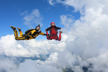 Two skydivers are in the sky.