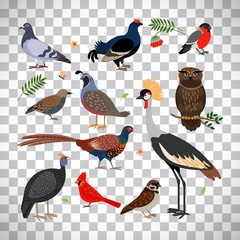 Birds icons on transparent background © ssstocker
