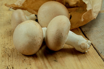 champignons de paris