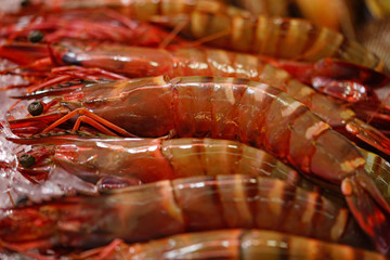 Fresh live pink shrimp in bulk at a seafood market in Okinawa, Japan