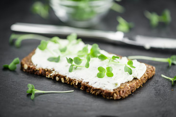Slate slab with cream cheese and fresh cress (close-up shot)