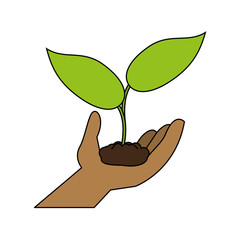 little plant seeding ecological icon