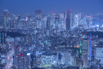 Fototapeta na wymiar Tokyo at night with illuminated skyscrapers
