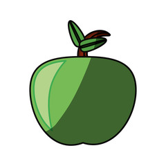 Delicious apple fruit