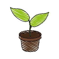 little plant seeding ecological icon