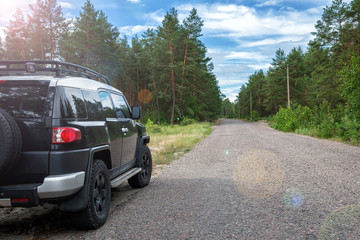 Fototapeta na wymiar Car in the forest road