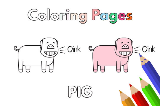 Cartoon Pig Coloring Book
