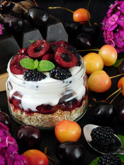 Oatmeal with yogurt and berries in a jar surrounded by berries and pink flowers. Layered breakfast