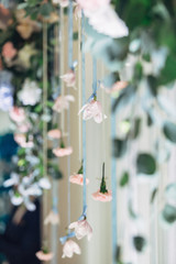 The orchids hangs on the wedding archway