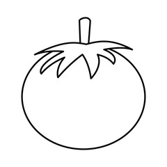 healthy fresh vegetable