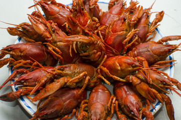 Crayfish on a plate with lemon on the white background