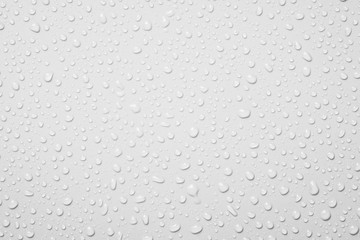 Water drops on white background