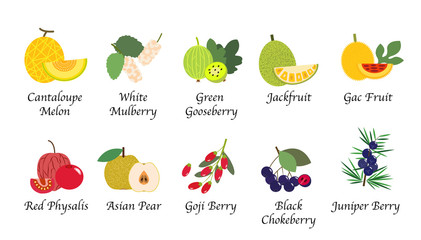 Organic nature health fruit isolated vector collection set