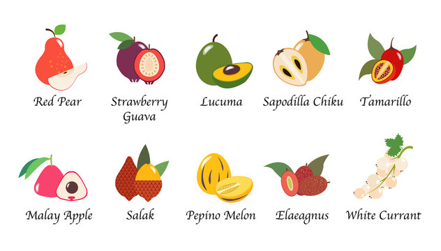 Organic nature health fruit isolated vector collection set