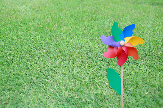 Colorful Pinwheel On The Green Grass.