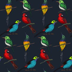 Plakaty  Vector seamless pattern with compositions of hand drawn tropical birds.
