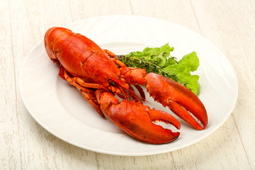 Lobster