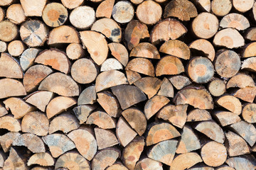 cut firewood closeup