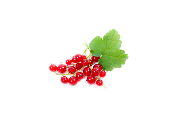Red currant berry isolated on white. A bunch of red currant..