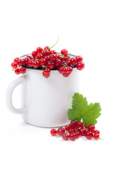White cup with red currant berry in it and small bunch of red currant with green leaf  isolated on white..