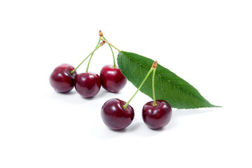 Sweet cherry isolated on a white background..