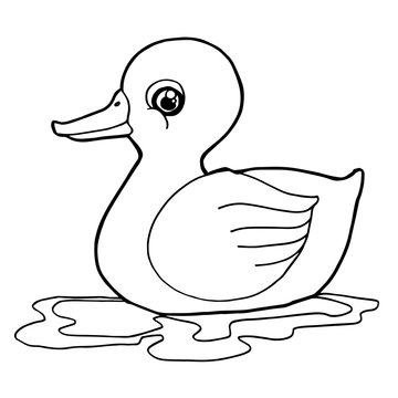 cartoon cute duck coloring page vector illustration
