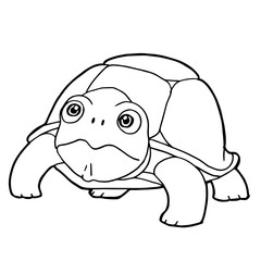 cartoon cute turtle coloring page vector illustration
