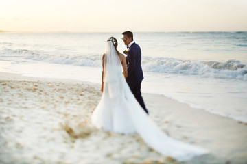 Look from behind at wedding couple walking along the sunny beach