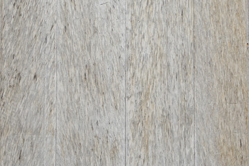 Old wood texture background. Floor surface