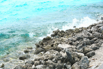 View of sea shore in summer day