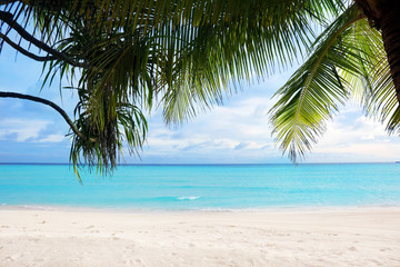Plakat View of beautiful beach at tropical resort
