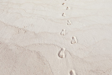 Fototapeta na wymiar Human footprints on beach sand at resort