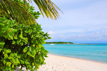 Fototapeta na wymiar View of beautiful beach at tropical resort