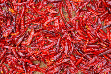 dried chilli